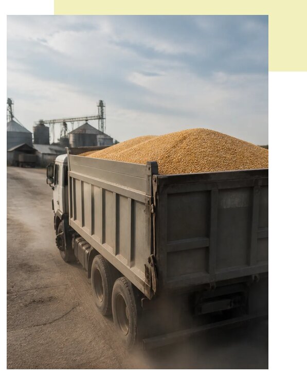 Перевозка сельхозпродукции навалом в Качканар по цене от 3076 р. | Агросервис-Кчк